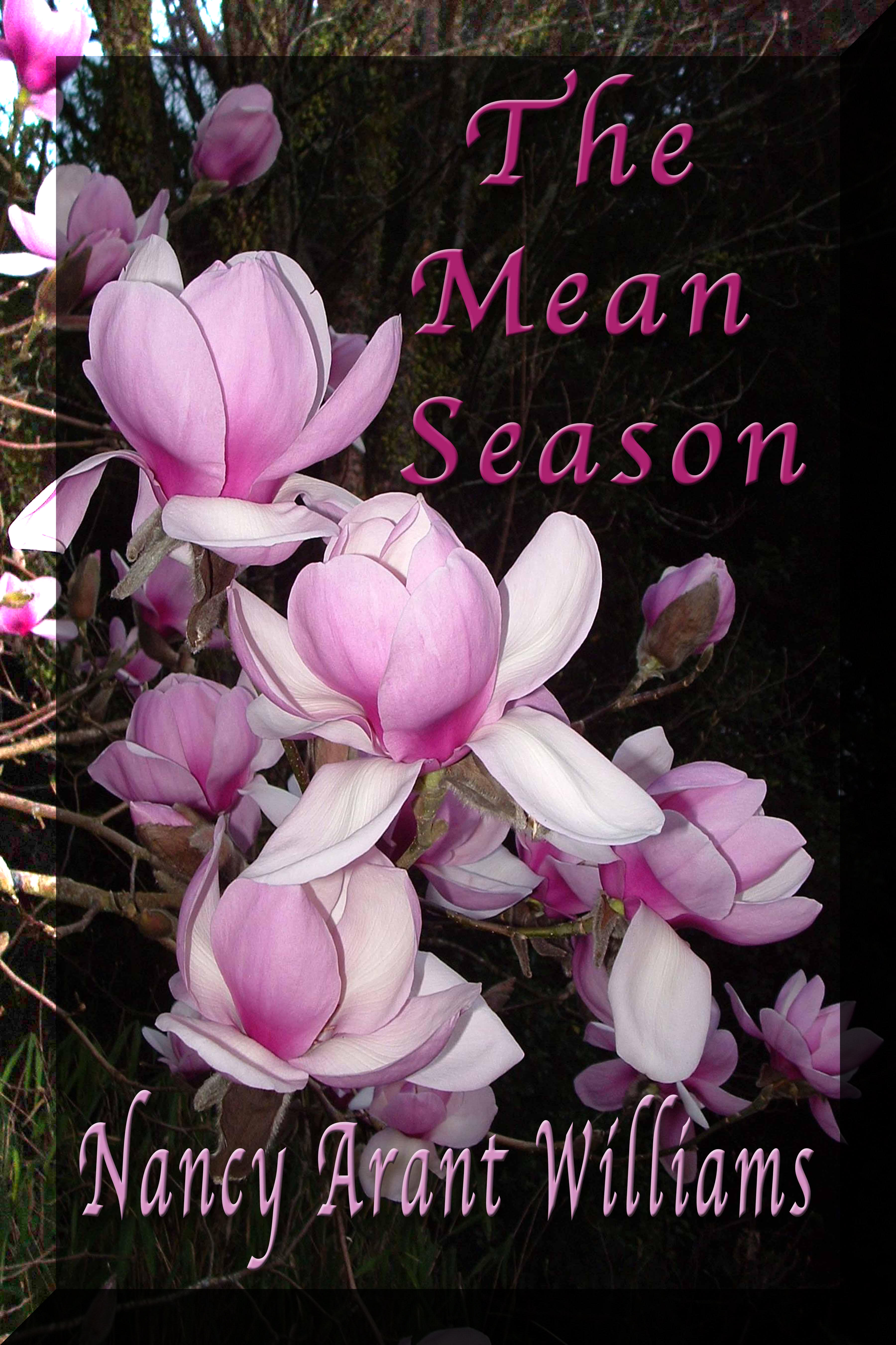 The Mean Season